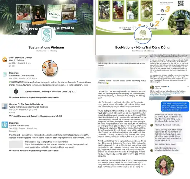 Supporting exhibits: Hai Ho's LinkedIn profile listing concurrent roles at Alterno, Sustainations DAO, Austria-Vietnam Innovation Council, and Triip Pte. Ltd; public Facebook pages of Sustainations Vietnam (6K followers) and EcoNations (5.6K followers); and public posts from investors discussing unreturned contributions to Le Na projects