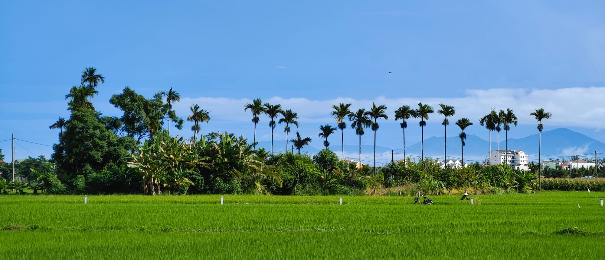 From Cash to Courage: What Truly Matters in Startups and Life