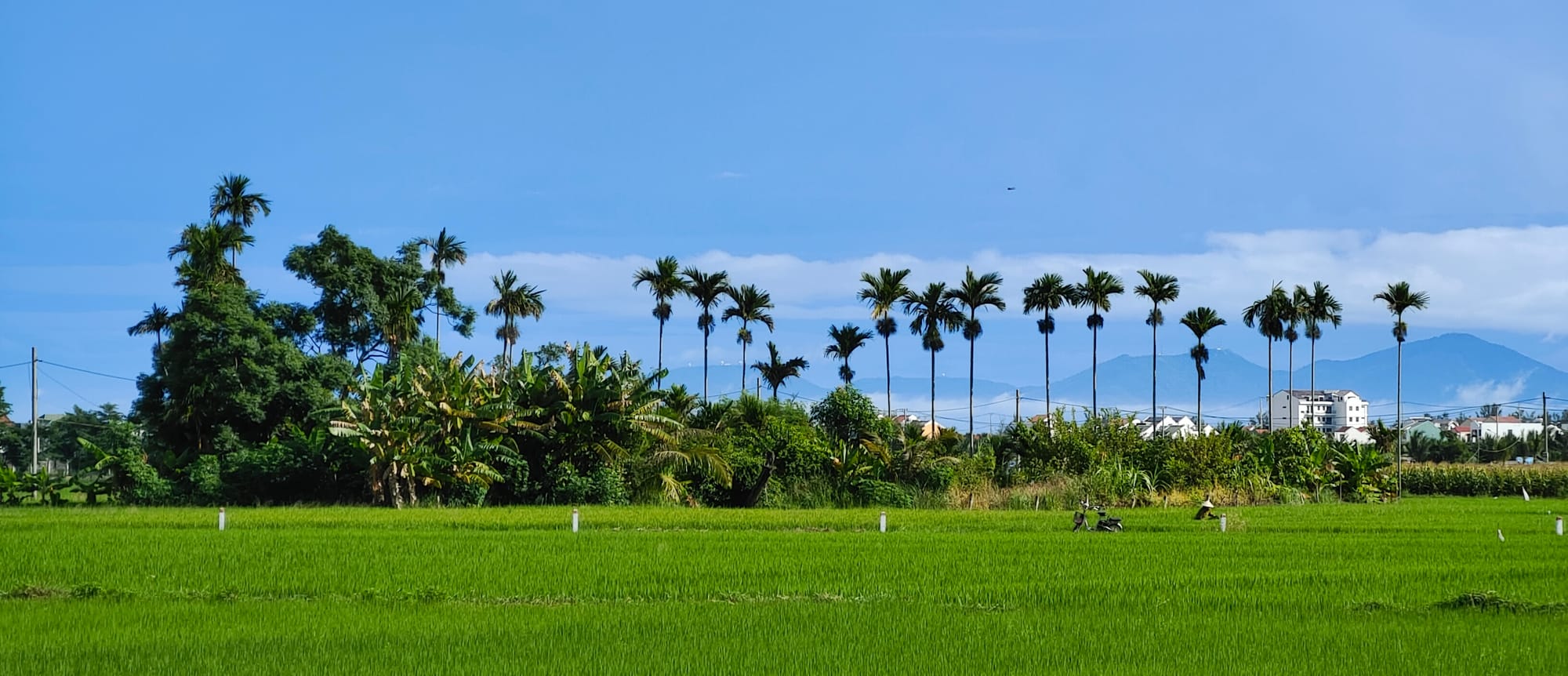 A typical norming in Hoi An