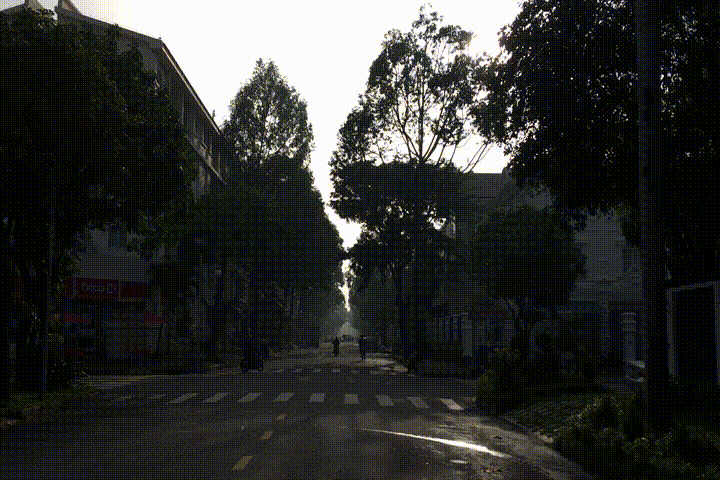 Pause and feel animation