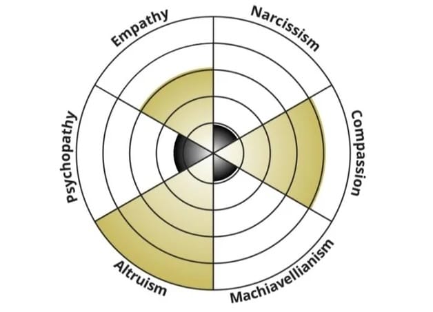 Light dark triads test