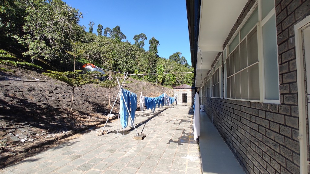 Courtyard walkway and outdoor laundry lines