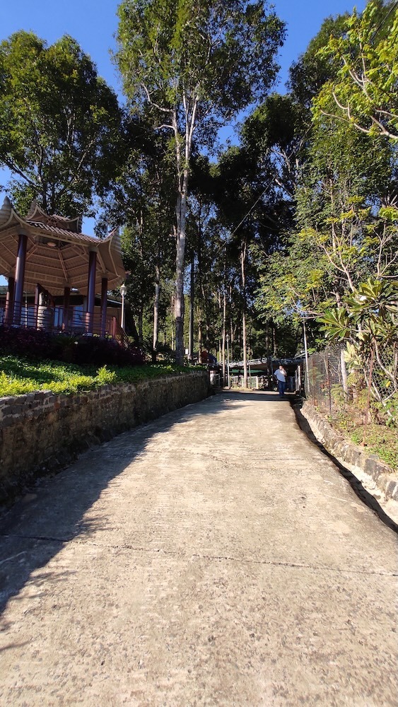 Paved walkway up the hillside toward the meditation pavilion